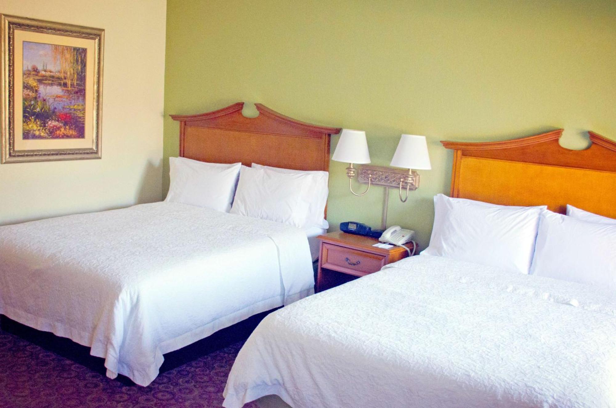 Hampton Inn & Suites קולג' סטיישן מראה חיצוני תמונה
